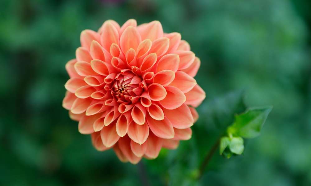 lucs schoten vordenstein 2021 09 12