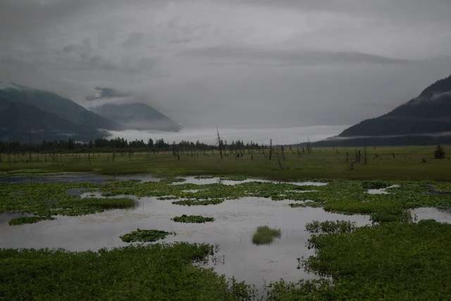 landschapalaska