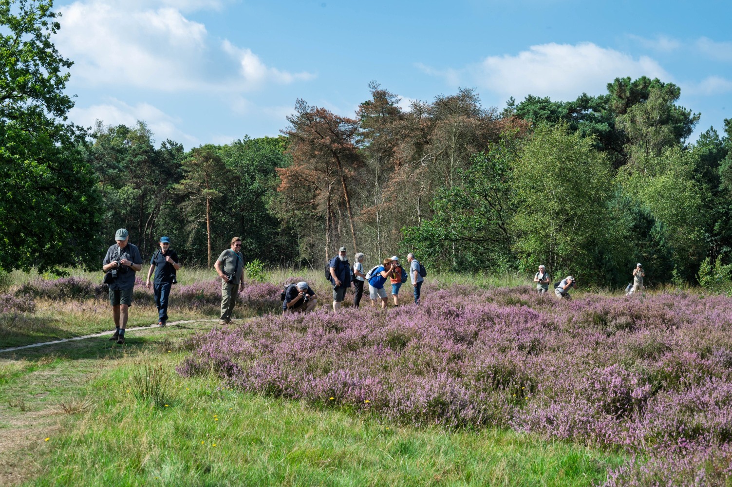 Strijbeekse Heide