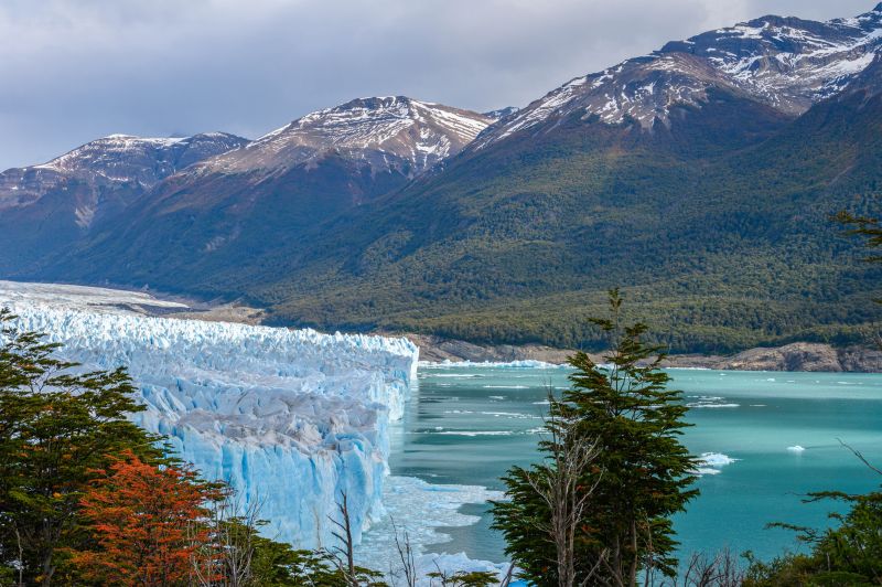 greetvt argentinie  van 